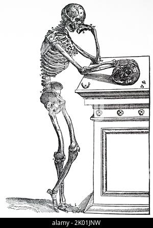 Das männliche Skelett. Von Andreas Vesalius De Humani Corporis Fabrica, Basel, 1543. Stockfoto