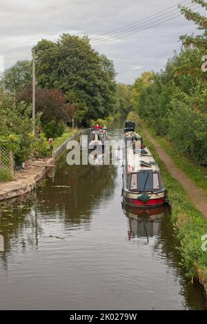 Narrowboats vertäuten am Abschleppweg des Montgomery-Kanals am Measbury Marsh in Shropshire, England. Stockfoto