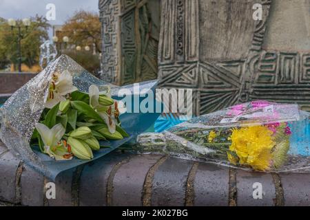 Southend on Sea, Großbritannien. September 2022. Ein Strauß weißer Lilien, umhüllt von blauem und transparentem Cellophan, auf einem Ziegelsteinvorsprung neben gelben Rosen und anderen Blumenopfern platziert. Die Szene wird vor einer gemusterten Steinstruktur mit komplizierten Schnitzereien und herbstlichen Bäumen inszeniert, die einen Moment der Erinnerung in einem öffentlichen städtischen Raum suggerieren. Blumen in der Nähe eines Wasserspiels, nahe dem Southend Civic Centre, zum Gedenken an Königin Elisabeth II., die gestern verstorben ist. Penelope Barritt/Alamy Live News Stockfoto