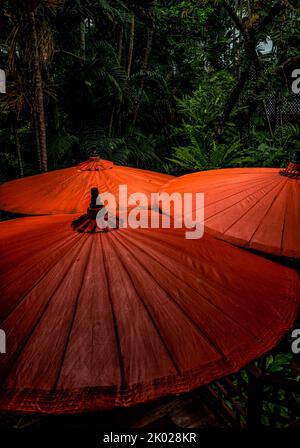 Schirme im Jim Thompson's House in Bangkok, Thailand Stockfoto