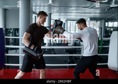 Boxer üben mit Personal Trainer Stockfoto