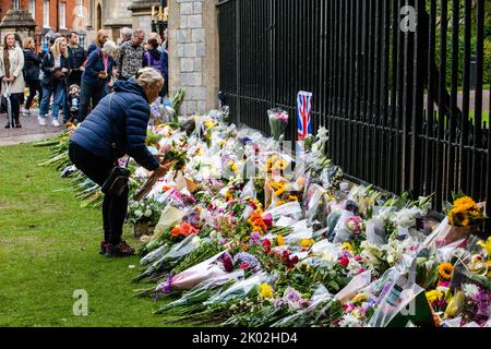 Windsor, Großbritannien. 9.. September 2022. Eine Frau hinterlässt einen Tag nach dem Tod von Königin Elizabeth II. Vor dem Cambridge Gate im Schloss Windsor einen Blumenschmuck Königin Elizabeth II., die dienstälteste Monarchin Großbritanniens, starb in Balmoral im Alter von 96 Jahren nach einer Regierungszeit von 70 Jahren. Kredit: Mark Kerrison/Alamy Live Nachrichten Stockfoto