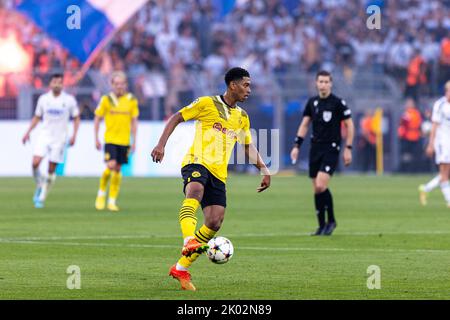 Dortmund, Deutschland. 06., September 2022. Jude Bellingham (22) aus Dortmund beim UEFA Champions League-Spiel zwischen Dortmund und dem FC Kopenhagen im Signal Iduna Park in Dortmund. (Bildnachweis: Gonzales Photo - Dejan Obretkovic). Stockfoto