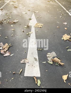 Der gerade Pfeil auf der Straße, der das Konzept für die Zukunft darstellt, auch wenn es Hindernisse gibt Stockfoto