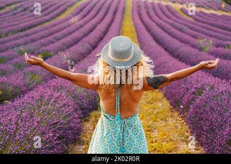 Rückansicht der trendigen Frau öffnen Arme und umarmt mit Liebe ein Lavendelfeld. Touristen weibliche Menschen und Sommerurlaub Urlaub in landschaftlich schönen Ziel. Outdoor-Freizeitaktivitäten und Wanderlust Natur Stockfoto