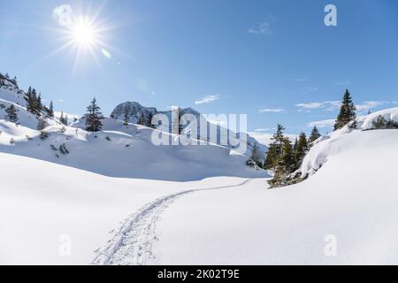 Schneeschuhwanderung am Arlberg, Spuren im Schnee Stockfoto