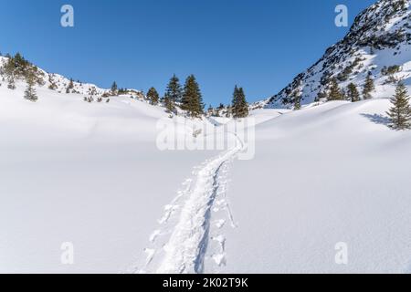 Schneeschuhwanderung am Arlberg, Spiren im Schnee Stockfoto