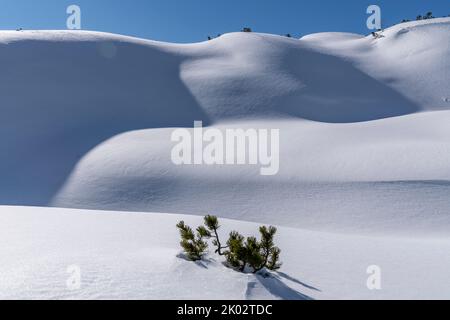 Winterlandschaft am Arlberg Stockfoto