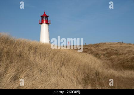 Der Leuchtturm List-West in gelbem Feld in List auf Sylt unter blauem Himmel Stockfoto