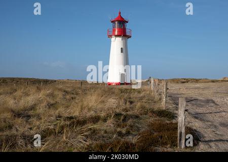 Der Leuchtturm List-West in gelbem Feld in List auf Sylt unter blauem Himmel Stockfoto