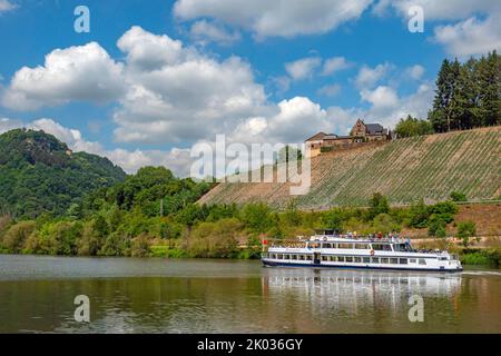 Passagierschiff auf der Saar bei Serrig mit Weingut Würzberg, i.. H. Klause in Kastel-Staadt, Saar, Saartal, Naturpark Saar Hunsrück, Rheinland-Pfalz, Deutschland Stockfoto