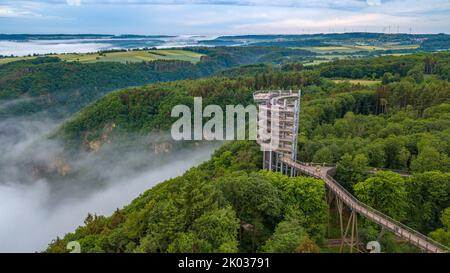 Saarschleife Baumkronenweg oberhalb der Saarschleife auf dem Cloef bei Orscholz, Mettlach, Saartal, Saarland, Deutschland Stockfoto