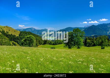 Österreich, Tirol, Kaiserwinkl, Rettenschöss, Feistenau, Blick auf den Walchsee Stockfoto