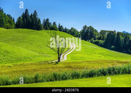 Österreich, Tirol, Kaiserwinkl, Rettenschöss, Feistenau, Chiemkogel Stockfoto