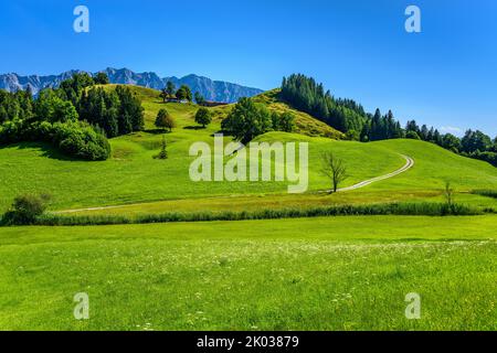 Österreich, Tirol, Kaiserwinkl, Rettenschöss, Feistenau, Chiemkogel gegen das Kaisergebirge Stockfoto