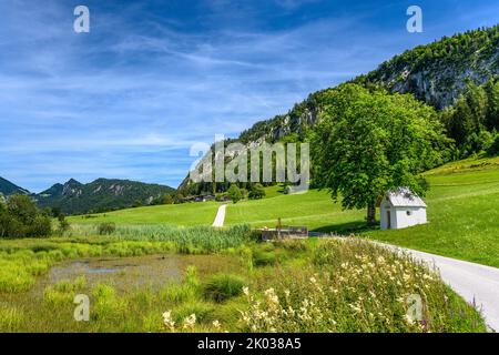 Österreich, Tirol, Kaiserwinkl, Walchsee, Schwaigs, Schwemm Moorland, Kapellenteich gegen Miesberg Stockfoto