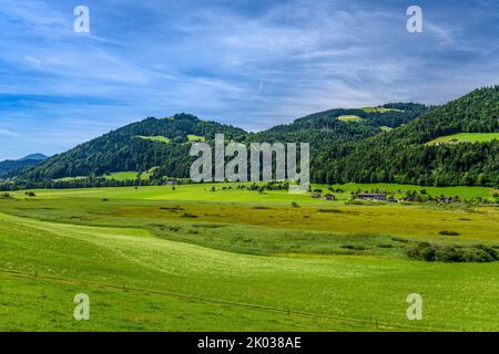 Österreich, Tirol, Kaiserwinkl, Walchsee, Schwaigs, Moorland Schwemm, Blick von Süden Richtung Chiemkogel Stockfoto