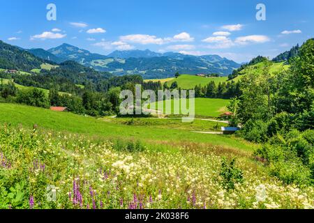 Deutschland, Bayern, Landkreis Rosenheim, Oberaudorf, Buchau, Blick über das Inntal auf die Chiemgauer Alpen Stockfoto