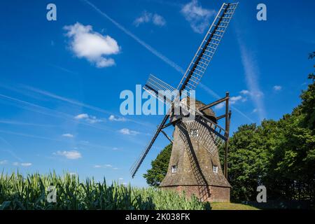 Deutschland, Ahaus, Westmuensterland, Münsterland, Westfalen, Nordrhein-Westfalen, Ahaus-Wuellen, Quantwicker Mühle, Windmühle, Hollaendermühle Stockfoto