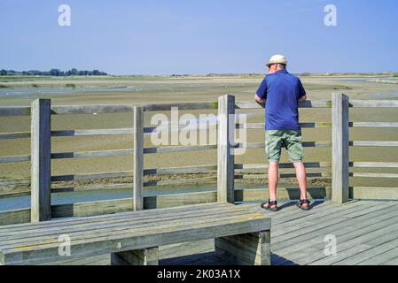 Ältere Touristen/Spaziergänger auf hölzerner Aussichtsplattform, Aussichtspunkt mit Blick auf Salzmarsch und Küstenvögel im Zwin-Naturschutzgebiet, Belgien Stockfoto