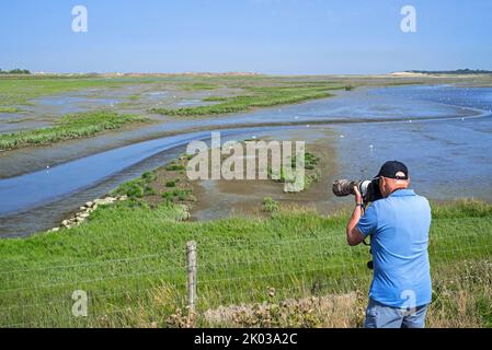 Älterer Naturfotograf am Internationalen Deich mit Blick auf Salzwiesen und Küstenvögel im Zwin-Naturschutzgebiet, Knokke-Heist, Belgien Stockfoto