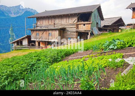 Gemüsegarten vor der Scheune auf dem Berghof im Südtiroler Ultental Stockfoto