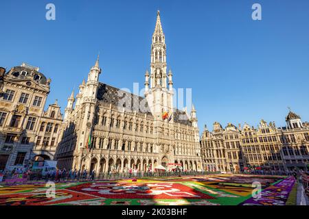 Blick auf das Rathaus und den Blumenteppich auf dem Grand Place. Brüssel, Belgien. Stockfoto