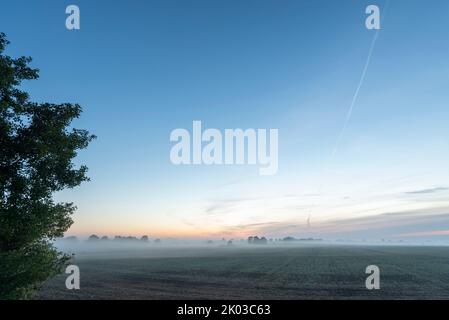 Nebel liegt über einem Feld im Naturpark Westhavelland, Sunrise, Großderschau, Brandenburg, Deutschland Stockfoto