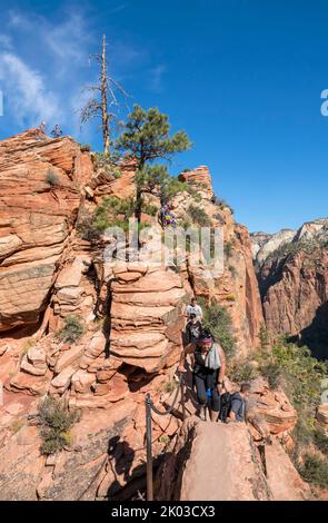 Der Zion National Park liegt im Südwesten von Utah an der Grenze zu Arizona. Es hat eine Fläche von 579 kö² und liegt zwischen 1128 m und 2660 m Höhe. Streckenabschnitt auf dem Angels Landing Trail Stockfoto