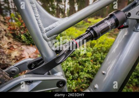 Italien, Dolomiten, Detail eines modernen E-Bikes / E-mtb im Wald, grüne Mobilität Stockfoto