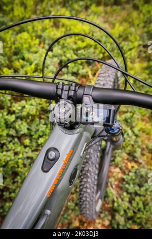 Italien, Dolomiten, Detail eines modernen E-Bikes / E-mtb im Wald, grüne Mobilität Stockfoto