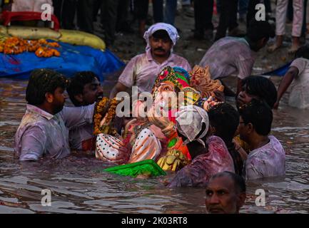 Neu-Delhi, Delhi, Indien. 9. September 2022. Anhänger tauchen am letzten Tag des Ganesh Chaturthi Festivals in Neu Delhi ein Idol des elefantenköpfigen Hindu-gottes Ganesh in einen künstlichen Teich ein. (Bild: © Kabir Jhangiani/ZUMA Press Wire) Stockfoto