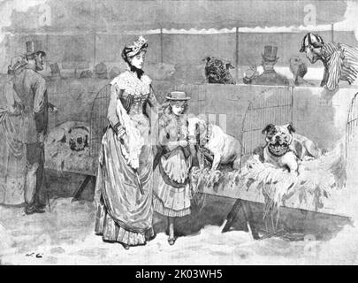 „Among the Bulldogs at the Kennel Club Show“, 1886. Aus „Die Grafik. An Illustrated Weekly Newspaper Band 33. Januar bis Juni 1886“. Stockfoto
