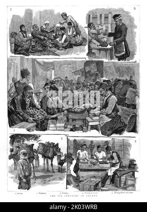 'Die Feigenindustrie in Smyrna', 1886. Aus „Die Grafik. An Illustrated Weekly Newspaper Band 33. Januar bis Juni 1886“ Stockfoto