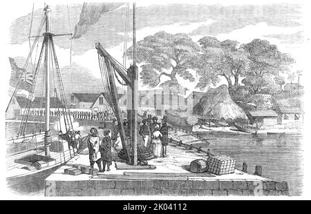 Matacong, an der Westküste Afrikas - der Pier, Lagerhäuser, etc., 1854. Skizze zu einem Artikel über '...den Fortschritt im "legitimen Handel" [auf der Insel Matakong vor der Küste von Guinea] und die großen Vorteile, die sie der afrikanischen Rasse nicht umhin kann...Matacong (Eine Korruption von Mata-Can)...Lügen westlich der Mündung des Flusses Fouricariah...Fische gibt es im Überfluss...und ziehen an...Fischer aus Sierra Leone...der Seidenbaumbaumbaumbaum (Bombax Ceiba) wächst hier in großer Üppigkeit...Hier zeigt der Afrikaner, dass säkulare und religiöse Bildung nicht vollständig geworfen wurde Stockfoto