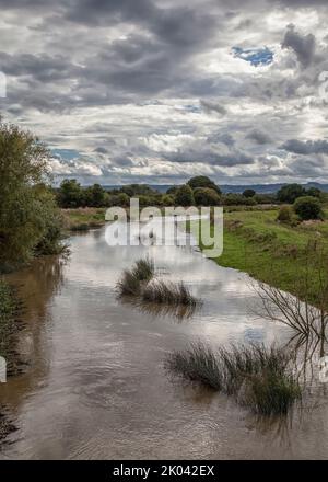 Am Ufer des Flusses Adur Stockfoto