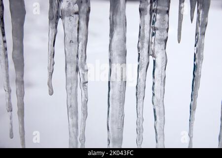 Große Eiszapfen vor einem weißen, weichen Hintergrund Stockfoto