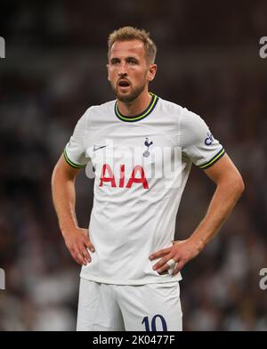 07 Sep 2022 - Tottenham Hotspur gegen Marseille - UEFA Champions League - Gruppe D - Tottenham Hotspur Stadium Harry Kane von Tottenham Hotspur gegen Marseille. Picture : Mark Pain / Alamy Stockfoto