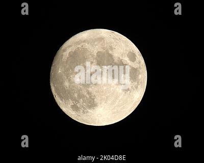 Sheerness, Kent, Großbritannien. 9. September 2022. Wetter in Großbritannien: Der volle Harvest Moon stieg heute Abend über Sheerness, Kent. Kredit: James Bell/Alamy Live Nachrichten Stockfoto