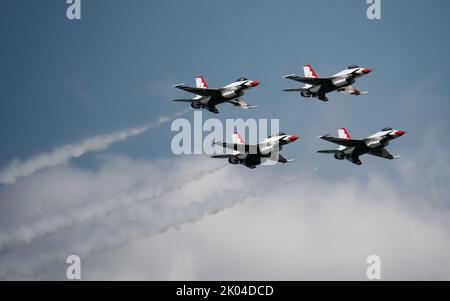 Militärflugzeug - EA-18 Growler, F-16 Thunderbirds, A-10, B-2, T-38 Stockfoto