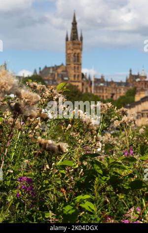 Blick auf die Glasgow University an einem Sommertag Stockfoto