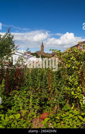 Blick auf die Glasgow University an einem Sommertag Stockfoto