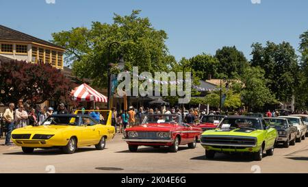 DEARBORN, MI/USA - 18. JUNI 2022: Parade der Muscle Car auf der Henry Ford (THF) Motor Muster Car Show, die im Greenfield Village, in der Nähe von Detroit, Michigan, stattfand. Stockfoto