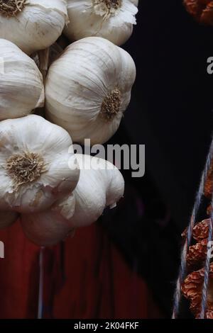 In der Vitrine des orientalischen Marktladens in Heidelberg, Bayern, hängt ein Knoblauchgeflecht. Dunkelbrauner Hintergrund. Nahaufnahme. Seitenansicht. Stockfoto