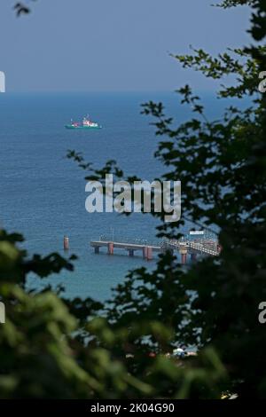 Blick durch den Wald auf die Seebrücke, Göhren, Insel Rügen, Mecklenburg-Vorpommern, Deutschland | Blick auf die Seebrücke von einem Aussichtspunkt, Göhren, Rüge Stockfoto