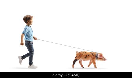 Ganzkörperaufnahme eines Jungen, der ein Ferkel auf einem Blei auf weißem Hintergrund läuft Stockfoto