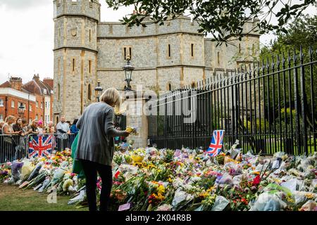 Windsor, Großbritannien. 9.. September 2022. Eine Frau hinterlässt einen Tag nach dem Tod von Königin Elizabeth II. Vor dem Cambridge Gate im Schloss Windsor einen Blumenschmuck Königin Elizabeth II., die dienstälteste Monarchin Großbritanniens, starb in Balmoral im Alter von 96 Jahren nach einer Regierungszeit von 70 Jahren. Kredit: Mark Kerrison/Alamy Live Nachrichten Stockfoto