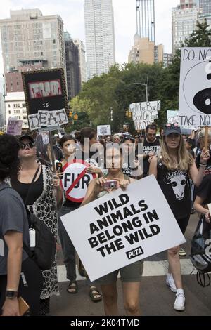 Veganer und andere Aktivisten kommen zu einem jährlichen Tierrechtsmarsch am Broadway in Manhattan, New York City. Stockfoto