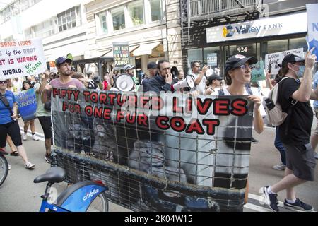 Veganer und andere Aktivisten kommen zu einem jährlichen Tierrechtsmarsch am Broadway in Manhattan, New York City. Stockfoto