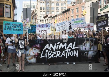 Veganer und andere Aktivisten kommen zu einem jährlichen Tierrechtsmarsch am Broadway in Manhattan, New York City. Stockfoto